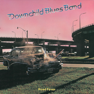 李湘一级毛片免费高清
