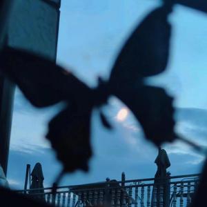 李湘一级毛片免费高清
