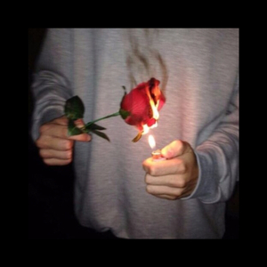 李湘一级毛片免费高清
